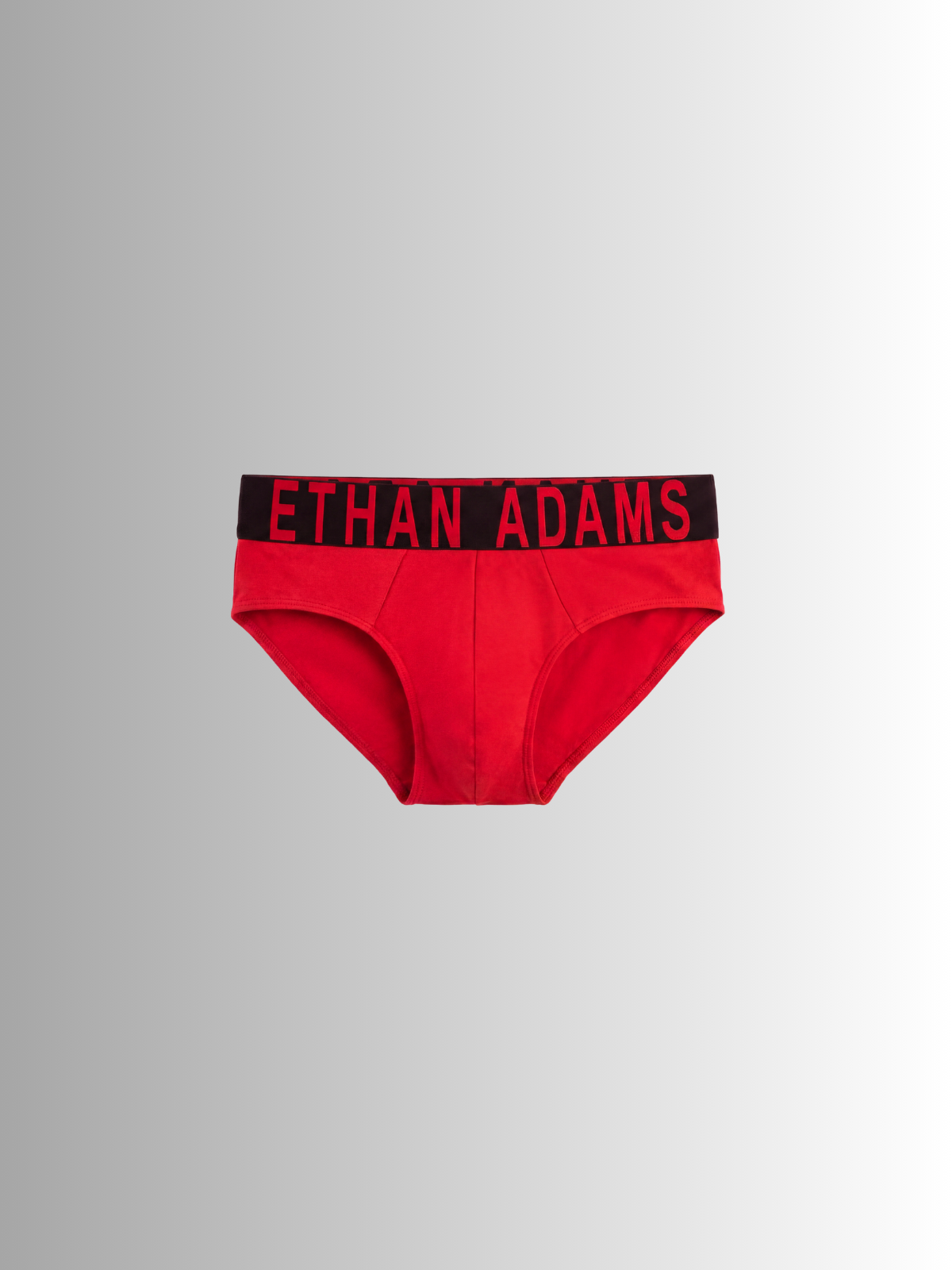 Ethan Adams Modal Brief - Crimson