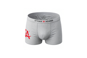 Bamboo Boxer Briefs